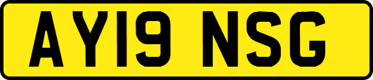 AY19NSG