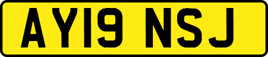 AY19NSJ