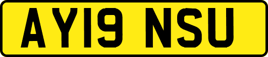 AY19NSU