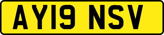 AY19NSV