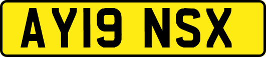 AY19NSX