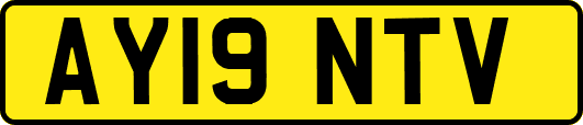 AY19NTV