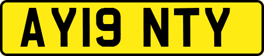 AY19NTY