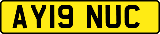 AY19NUC