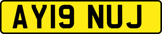 AY19NUJ