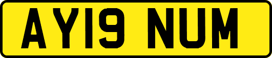 AY19NUM