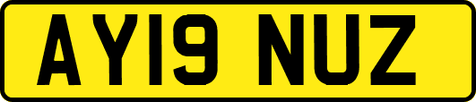AY19NUZ