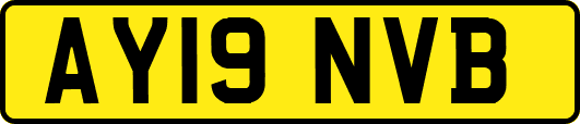 AY19NVB