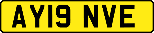AY19NVE