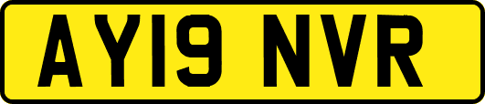 AY19NVR