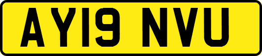 AY19NVU