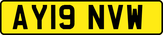 AY19NVW