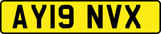AY19NVX