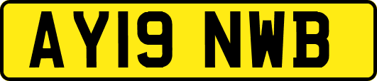 AY19NWB