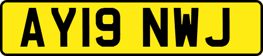 AY19NWJ
