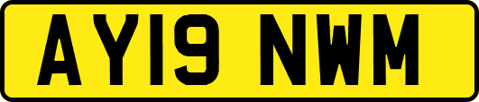AY19NWM