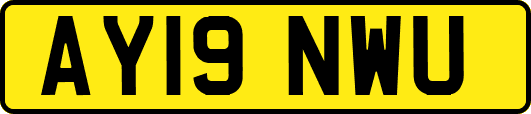 AY19NWU