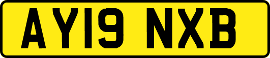 AY19NXB