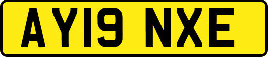 AY19NXE