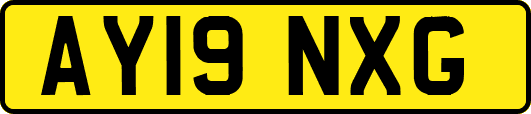 AY19NXG