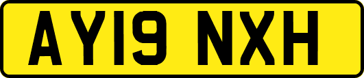 AY19NXH