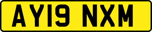 AY19NXM