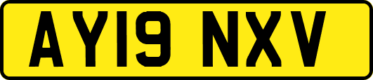 AY19NXV