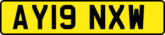AY19NXW