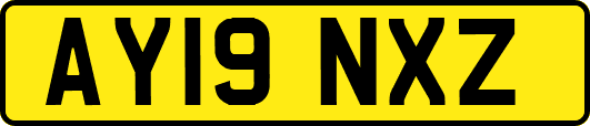 AY19NXZ