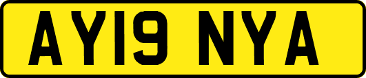 AY19NYA
