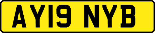 AY19NYB