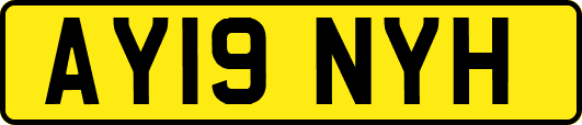AY19NYH