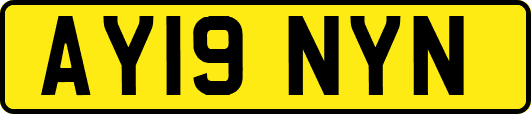 AY19NYN