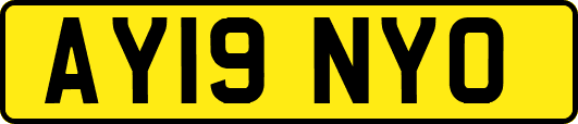 AY19NYO