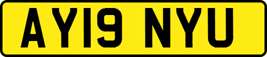 AY19NYU
