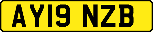 AY19NZB
