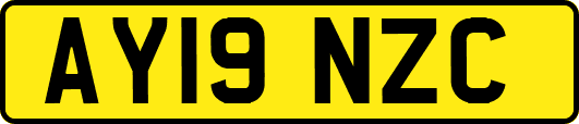 AY19NZC