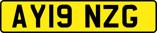 AY19NZG