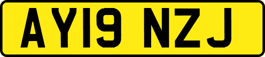 AY19NZJ