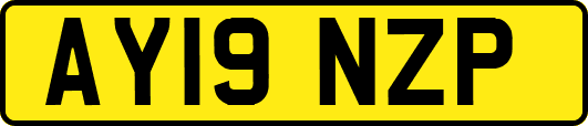 AY19NZP