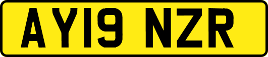 AY19NZR