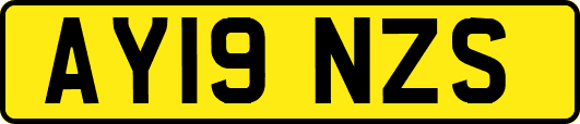 AY19NZS