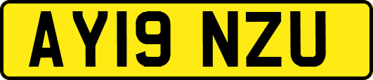 AY19NZU