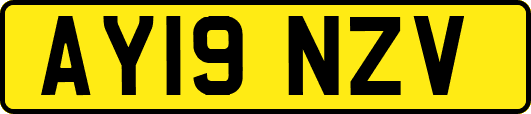 AY19NZV