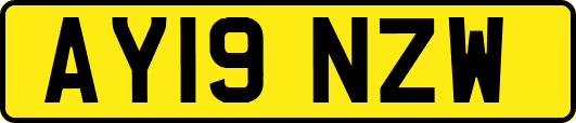 AY19NZW