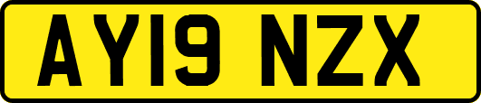 AY19NZX