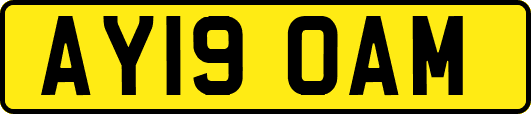 AY19OAM