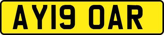 AY19OAR