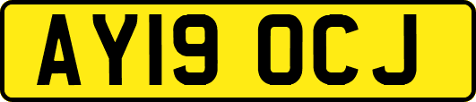 AY19OCJ