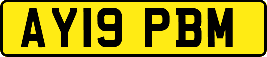 AY19PBM